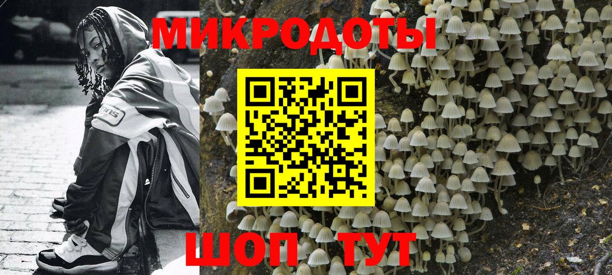 Галлюциногенные грибы мицелий Россия