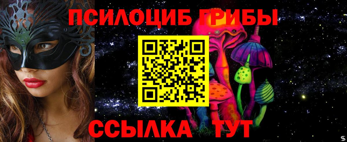 Россия  где найти наркотики  Вход с VPN  Псилоцибиновые грибы Cubensis 