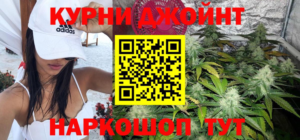 Шишки марихуана планчик Россия